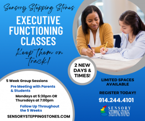 Executive Functioning Classes